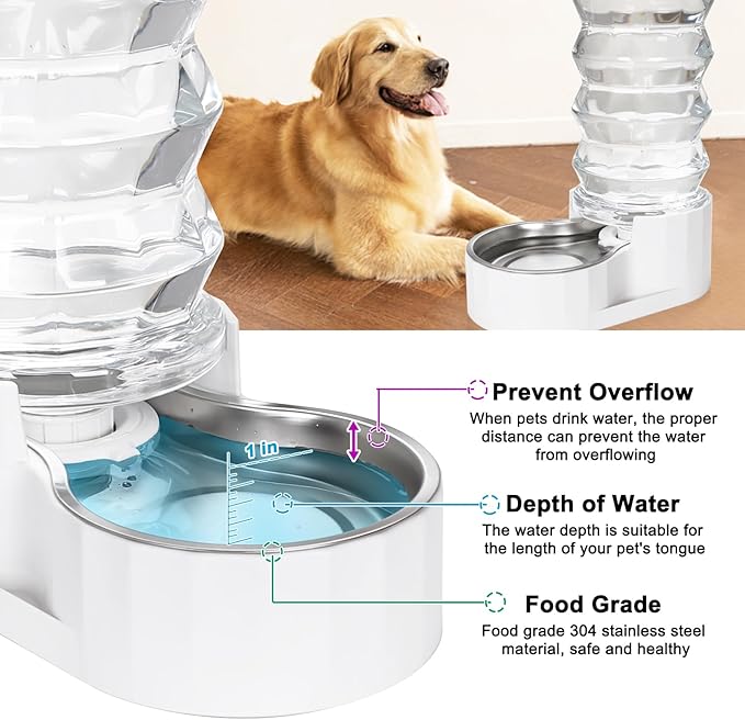 RIZZARI 8L Stainless Steel Gravity Pet Water Dispenser – Auto-Refill Waterer with Filtered Hydration Design for Dogs & Cats, Fresher Daily Drinking for Multi-Pet Homes & Indoor Spaces