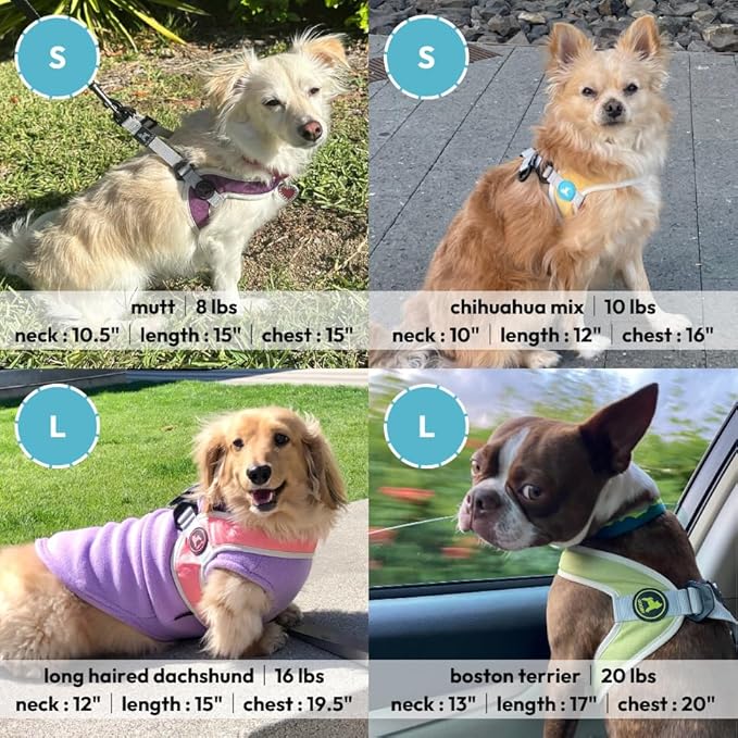 Gooby Simple Step in III Harness - Yellow, Large - Small Dog Harness with Scratch Resistant Outer Vest - Soft Inner Mesh Harness for Small, Medium Dogs