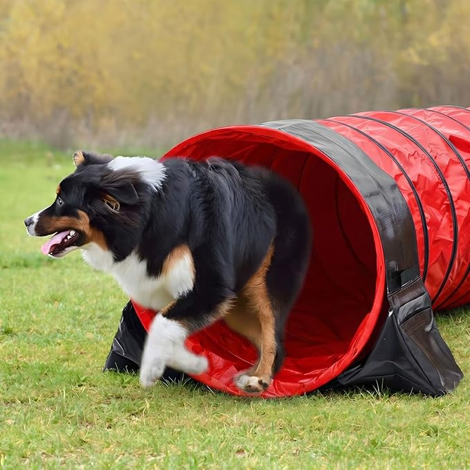 Briwooody 24 in 10 Foot PVC Dog Agility Tunnel with Sandbags Dogs Agility Training Equipment Tunnel with 2 Pack Sandbags, Carry Bag and 4 Ground Spikes for All Medium Large Dogs(Red)