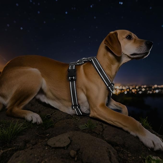 VavoPaw Dog Seat Belt Harness for Car, Dog Car Harness Adjustable Mesh Breathable & Dogs Seatbelt Safety Tether with Elastic Bungee for Small Medium Large Pets(Carbon Black, XL)