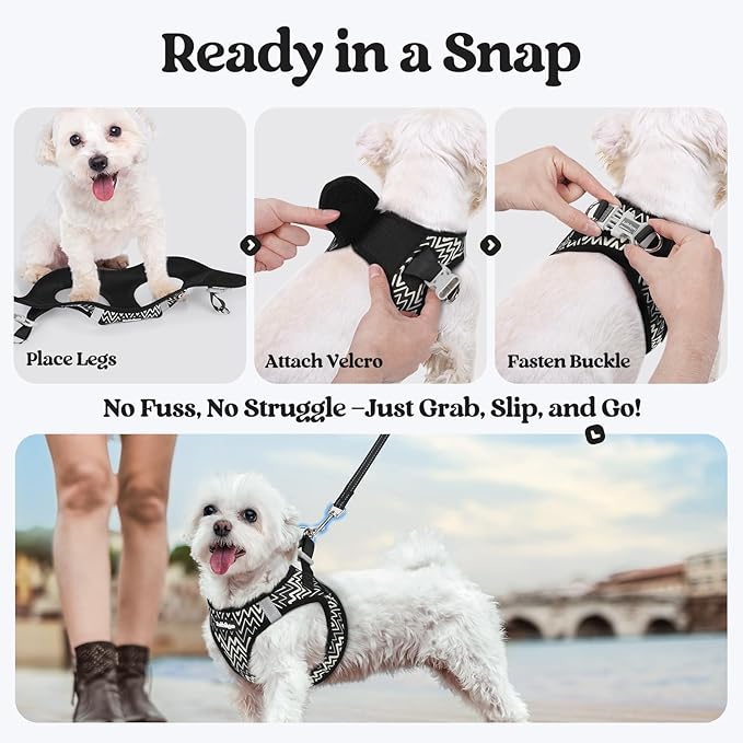 rabbitgoo Dog Harness Small Sized and Leash Set, Step in Soft Light Puppy Vest, Breathable Mesh Pet Harness, Reflective for Safe Easy Walking, Black Zigzag M