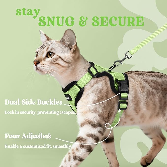 rabbitgoo Cat Harness and Leash Set, Escape Proof Vest Harness for Safe Outdoor Walks, Soft Breathable Adjustable Vest with Reflective Strips for Small and Average Cats, Light Green, S