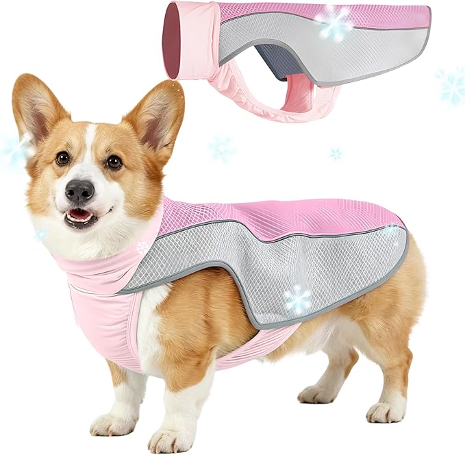 Dog Cooling Vest, Summer Cooler Jacket for Small & Medium Dogs Soft Breathable Mesh Lightweight Pet Shirt for Beach Hiking Walking (Pink,M)