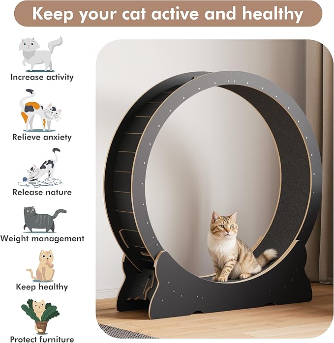 Mondeer Cat Exercise Wheel, 46'' Cat Wheel for Indoor Cats with Carpeted Runway, XL Treadmill with Removable Carpet and Teaser, for Running Walking Training (Black)