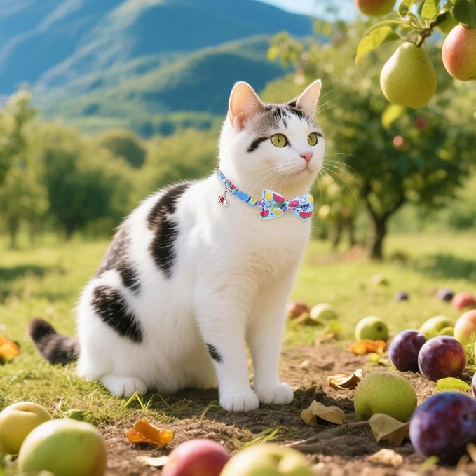 PUPTECK Cat Collar Breakaway with Bells, Kitten Collar Outfit Adjustable for Girl Boy Small Pet Puppy Bunny, Cute Costume Accessory with Safety Release Buckle (Bowtie-Summer)