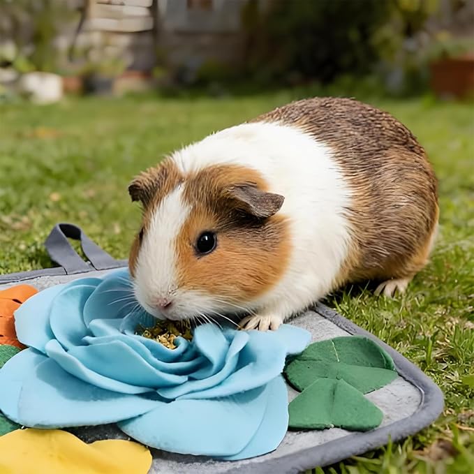 Snuffle Mat for Rabbits, Fashion Design Bunny Foraging Mat, Indoor & Outdoor Small Pet Feeding Mat, Slow Feeder Toy for Rabbit, Guinea Pig, Chinchilla & Small Animals