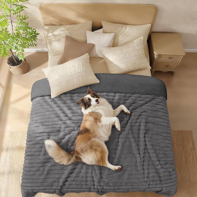 Luciphia Waterproof Dog Blanket for Large Dogs Ultra-Soft Calming Cut Pile Flannel Throw Durable & Warm Furniture Protection for Couch Bed Pet Human Blanket Machine Washable Stone Gray,XL(85''x57'')