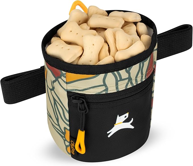 OllyDog Goodie Treat Bag, Dog Treat Pouch, Waist Belt Clip for Hands-Free Training, Magnetic Closure, Dog Training and Behavior Aids, Three Ways to Wear (Fiori)