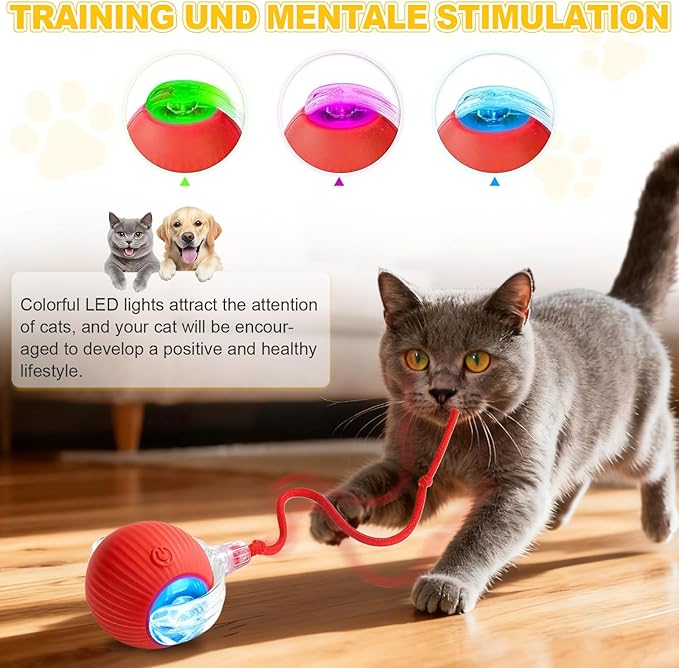 USB Rechargeable Smart Cat Toy Ball, 360° Rotation Automatic Moving Chase Toy, Obstacle Avoidance Interactive Play with 4 Spiral Springs, Enrichment Toys for Indoor Cats, Puppies & Small Dogs (Red)