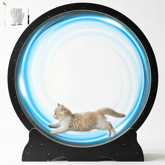 Cat Exercise Wheel, 48 Inch Diameter Cat Treadmill for Indoor Cats, Cats Running Wheel with Updated Enhanced Base and Carpeted Runway for Cat's Longer Life and Fitness, Black