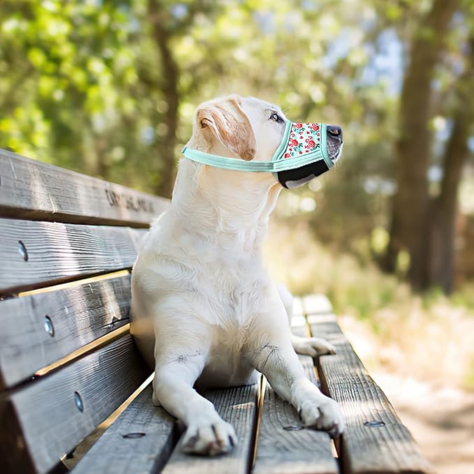 HEELE Dog Muzzle,Soft Nylon Muzzle Anti Biting Barking Chewing,Air Mesh Breathable Drinkable Adjustable Loop Pets Muzzle for Small Medium Large Dogs 4 Colors 4 Sizes (P-Cyan Flower, L)