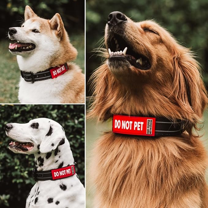 Tuff Pupper 2-Pack Waterproof Collar Sleeves | Fits Any 3/4 Inch Wide Dog Collar | Dual Sided Message | Durable Silicone & Neoprene | Odor & Stink Proof | Easy Slide On & Off (Do Not Pet, Small)