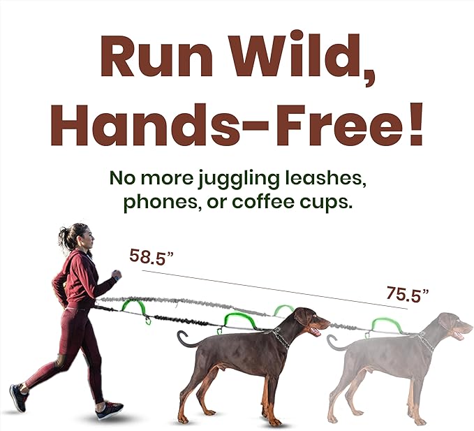 Hands-Free Dog Leash for 2 Dogs - Dual Tangle-Free Running Leash with Shock Absorbing Bungee, Padded Handles, & Waist Belt Pouch - Freedom No Pull Dog Harness Compatible