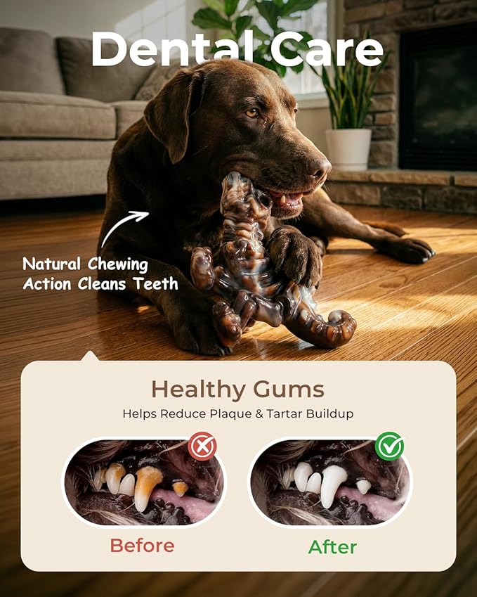 2 Pack Tough Nylon Dog Toys for Aggressive Chewers – Heavy Duty Dinosaur Chew Bones for Large Dogs (20–90 lbs), Bacon Flavor, Long-Lasting Power Chewer Toys to Keep Dogs Busy