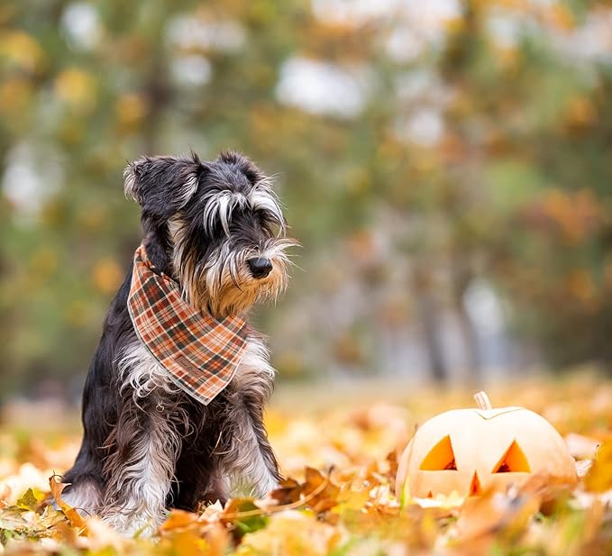 Lionet Plaid Dog Bandana 1PC - Pet Fall Washable Reversible Cotton Scarf, Adjustable Square Kerchief for Small to Large Dogs