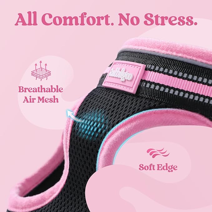 rabbitgoo Cat Harness and Leash, Step-in Escape Proof Kitten Harness Set, Soft Comfortable Cat Vest, Easy to Wear and Adjust, Reflective for Safe Outdoor Walking, Black&Pink, Medium