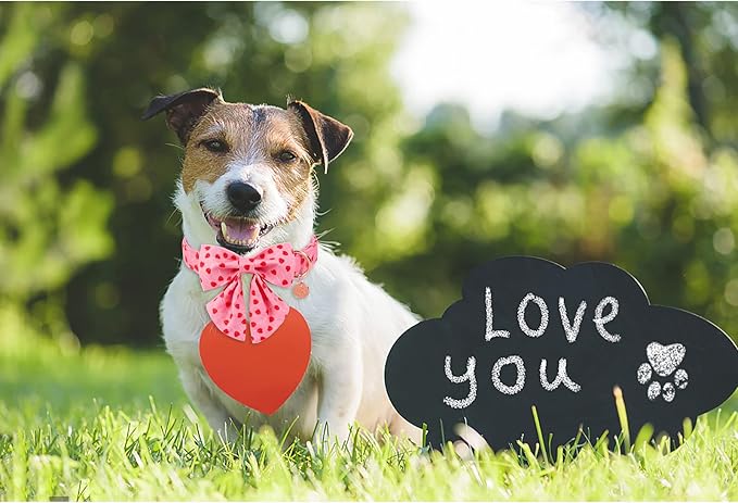 Valentine's Day Dog Collar with Bow Tie, Cotton with Metal Buckle, Red Heart, XS, Neck 8-12in