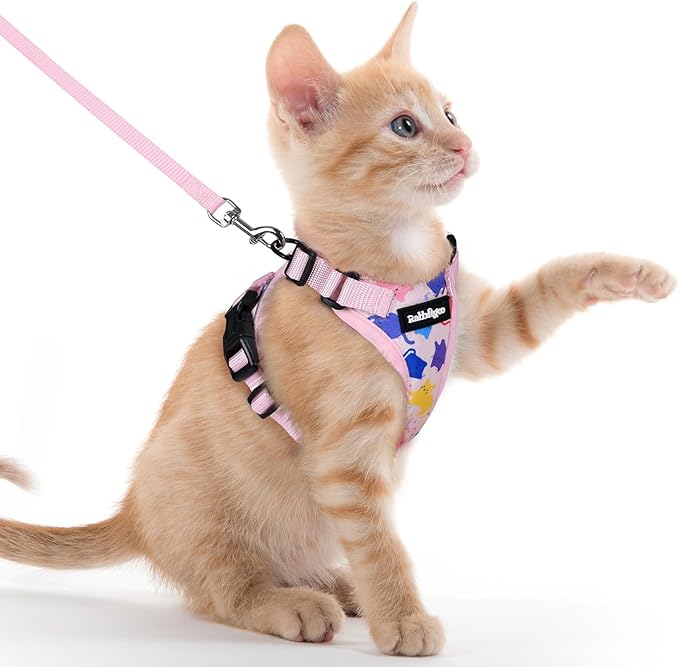 rabbitgoo Cat Harness and Leash Set, Escape Proof Kitten Harness for Safe Outdoor Walks, Soft Breathable Adjustable Vest with Reflective Strips for Kittens and Extra Small Cats, Purrty Pink, XXS