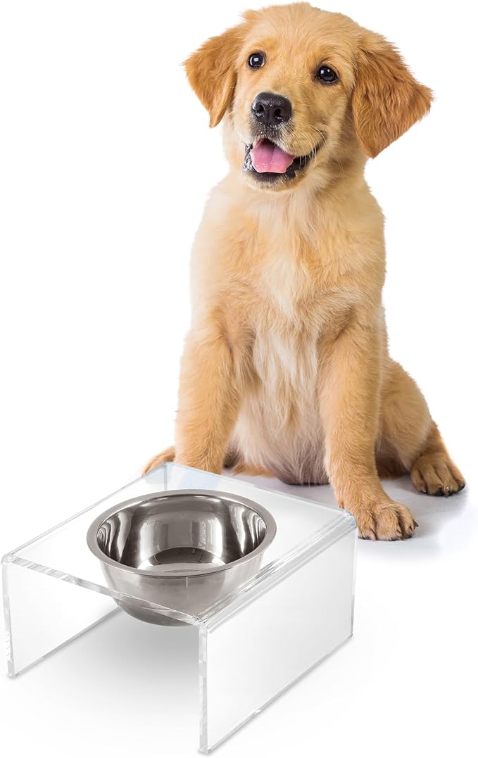 THE LICKER Store DBL2002A Keaton 5" Small/Medium Modern Acrylic Rectangular Elevated Pet Feeder with 20oz 1-Stainless Steel Bowl, Clear/Chrome
