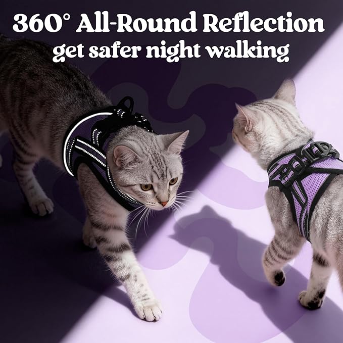 rabbitgoo Cat Harness and Leash, Step-in Escape Proof Kitten Harness Set, Soft Comfortable Cat Vest, Easy to Wear and Adjust, Reflective for Safe Outdoor Walking, Light Purple, Large