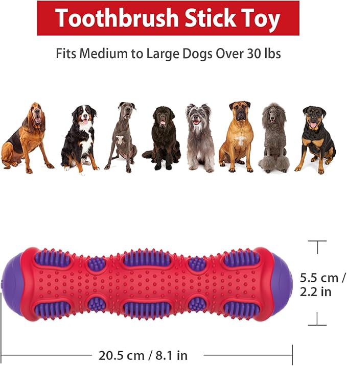 Gigwi Toothbrush Stick Dog Toy for Teeth Cleaning, Durable Rubber Dental Chewy Toy for Medium and Large Dog, Purple Color