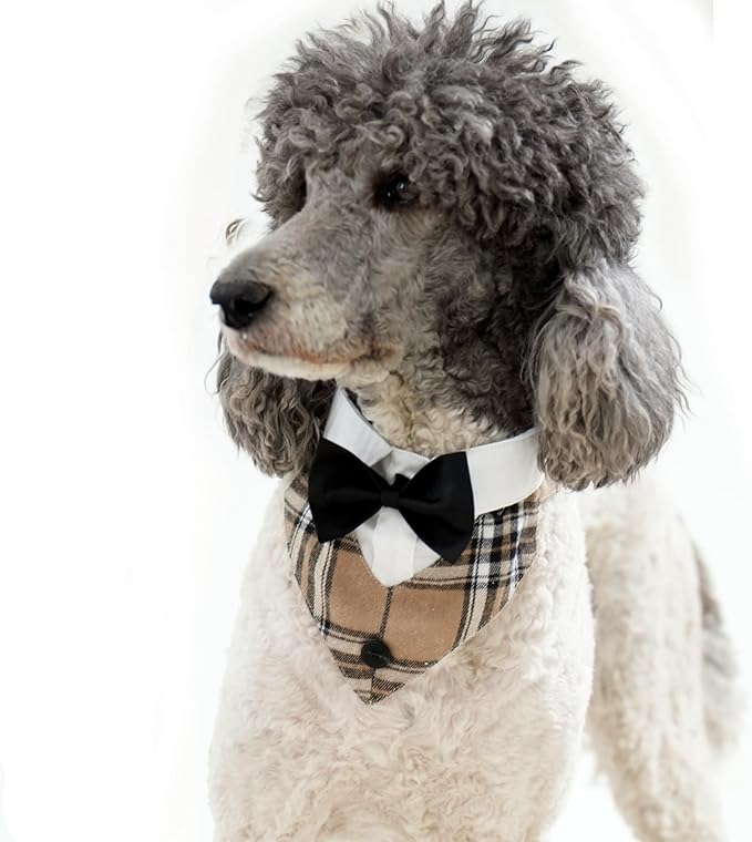 Dog Tuxedo Wedding Suit Shirt with Bow Tie, Formal Outfit Tux Attire for Puppy Small Medium Dogs Cats Costume (Khaki Tux, Small)