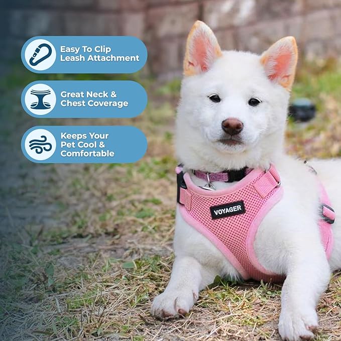 Best Pet Supplies Voyager Step-in Lock Pet Harness w Reflective Pet Leash Combo Set with Neoprene Handle 5ft - Supports Small, Medium and Large Breed Puppies/Cats - Pink, XL