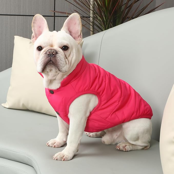 JoyDaog 2 Layers Fleece Lined Warm Dog Jacket for Puppy Winter Cold Weather,Soft Windproof Small Dog Coat,Pink M