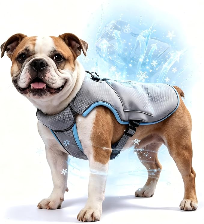 MORA PETS Lightweight Breathable Evaporative Dog Cooling Vest with One Ice Pack, Adjustable Chest-Style Dog Harness for Smal Medium Dogs 12-22LBs (Light Blue M)