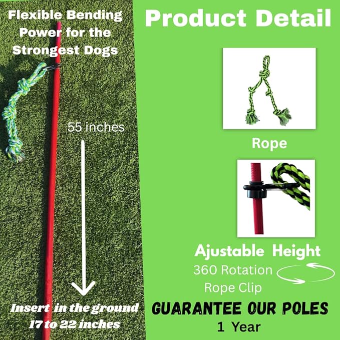 Outdoor Tug of War Toy for Dogs Rope Toy – Interactive Exercise Game in Yard, Agility, Medium, Large Extra Large & Small Breed –– Dogs Training Tools & Exercise Equipment, Belgian Malinois