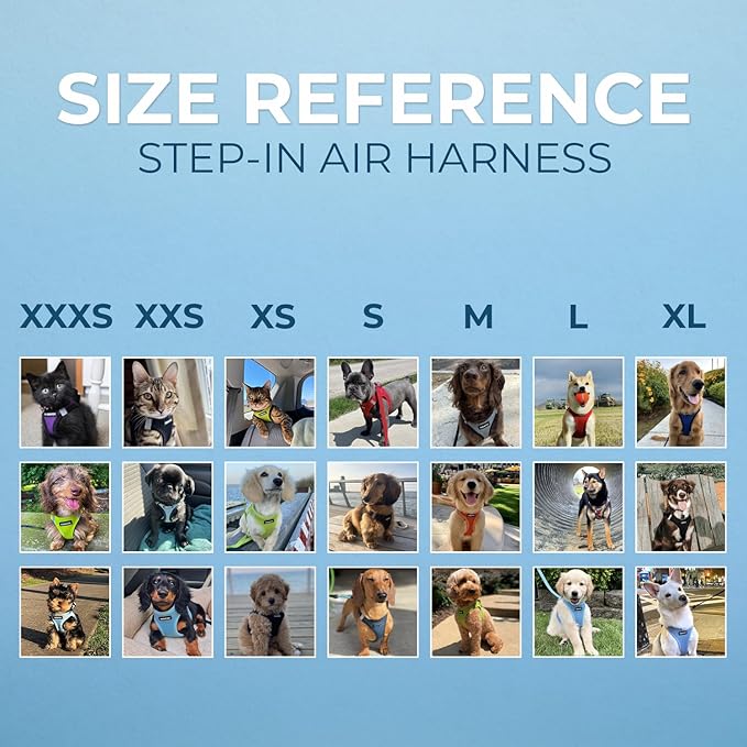 Best Pet Supplies Voyager Step-in Air Harness - All Weather Mesh, Reflective, No Pull Harness for Dogs, Cats - Secure with Hook & Loop Fastener, Buckle, Double D-Rings - Black, L