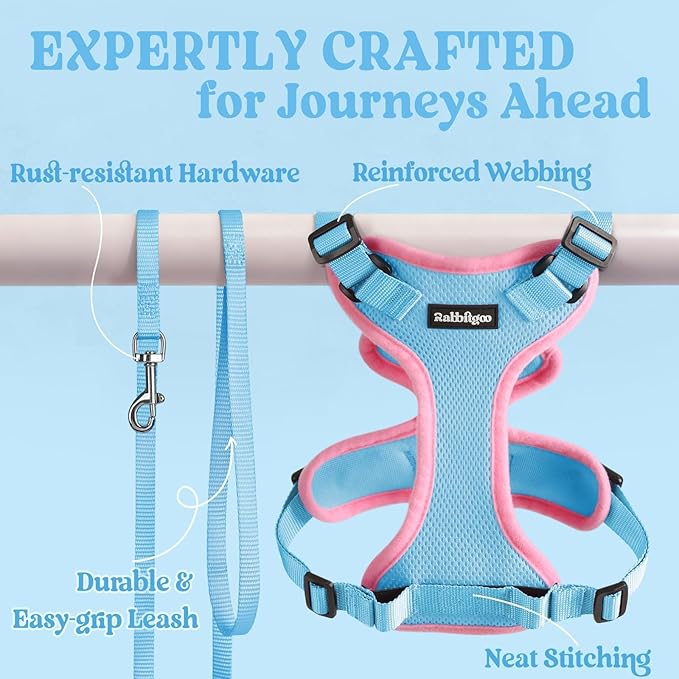 rabbitgoo Cat Harness and Leash Set, Escape Proof Kitten Harness for Safe Outdoor Walks, Soft Breathable Adjustable Vest with Reflective Strips for Kittens and Small Cats, Light Blue & Pink, XS