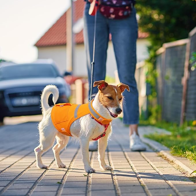 Aliceset 2 Pcs Dog Cooling Vest with 4 Recyclable Ice Pack Summer Outdoor Dog Cooling Harness Shirt Adjustable Pet Cooler(Orange,Medium)