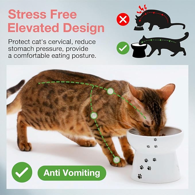 Necoichi Raised Cat Food Bowl – Ceramic Elevated Cat Bowl for Whisker & Neck Fatigue, Dishwasher Microwave Safe – Non-Slip & Anti Vomiting Ergonomic Design (Cats, Large) (Pack of 2)