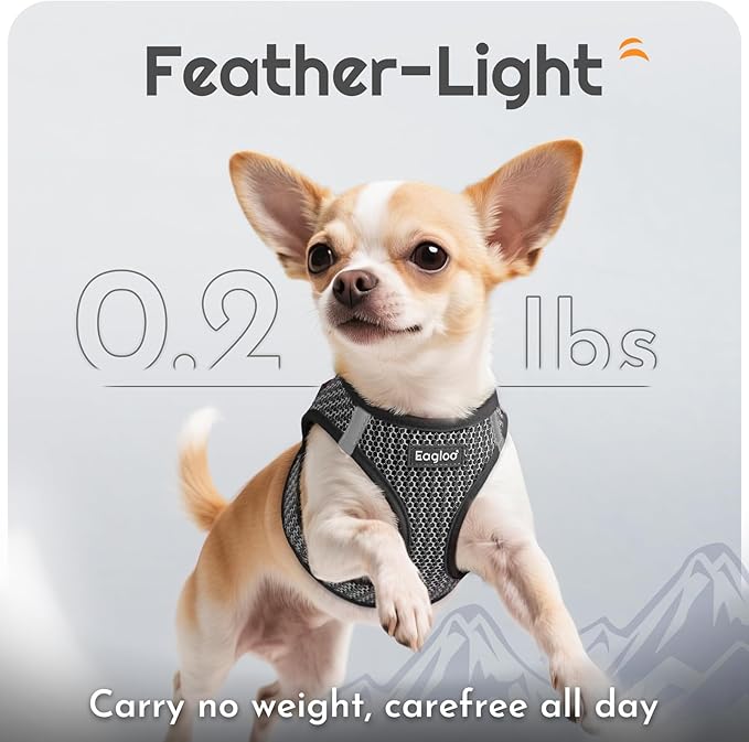 Eagloo Small Dog Harness and Leash Set, Step in Puppy Vest with Breathable Soft Mesh, Walking Reflective Pet Harness for Medium Small Dogs, Gray, L