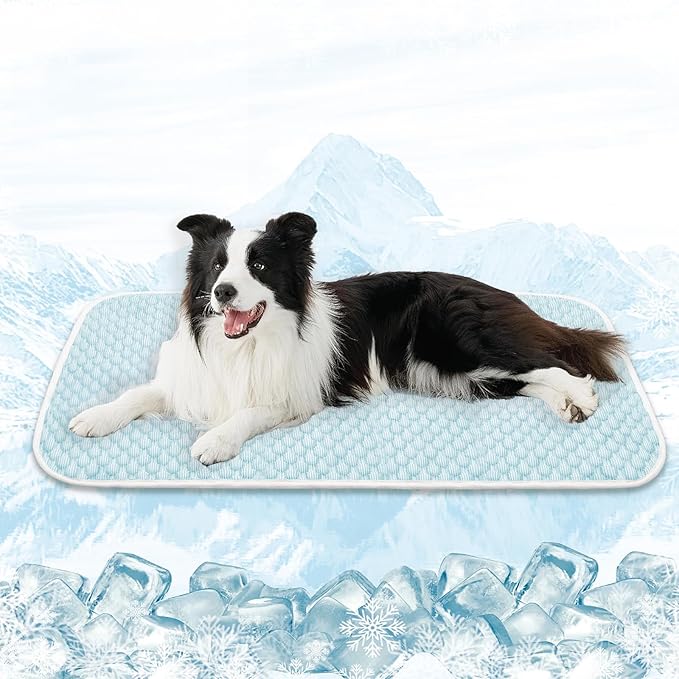 MICROCOSMOS Sleeping Pad & Pet Cooling Mat- Breathable Bubble Surface, EZ Clean. Keep Cooling for Pets, Kids and Adults in Summer.(BlueWhite, 48" x 24")