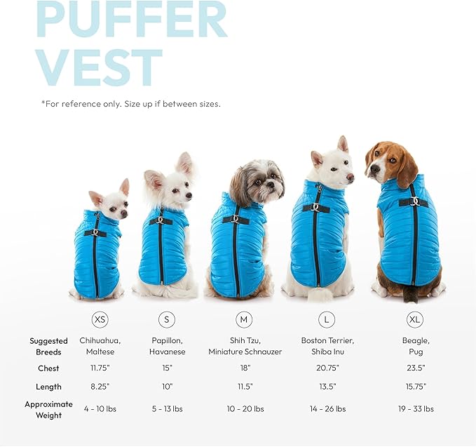 Gooby Puffer Vest - Grape, Medium - Ultra Thin Zip Up Windbreaker with Dual D Ring Leash - Water Resistant Dog Sweater Coat for Small Dogs