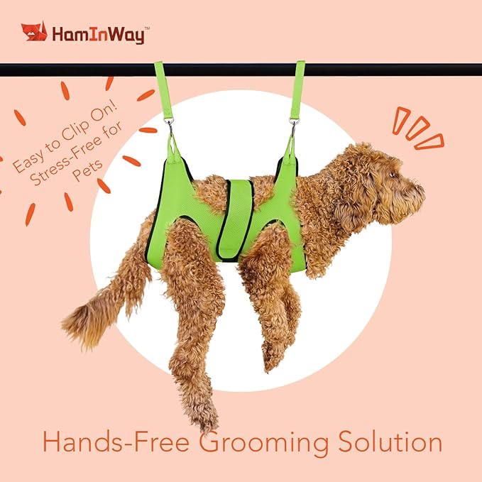 PawsUp Pet Grooming Hammock Kit for Large Dogs, 4-in-1 Professional Grooming Sling for Nail Trimming, Includes Heavy Duty Clipper, Nail File, and Steel Comb – Green