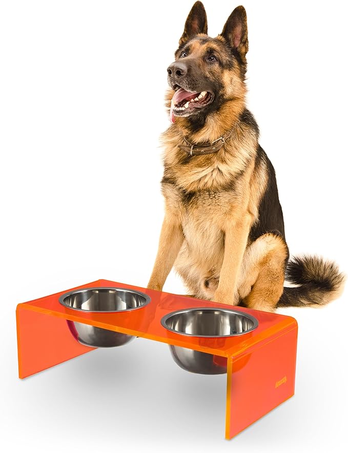 THE LICKER Store DBL2001E Keaton 7.5" Medium/Large Modern Acrylic Rectangular Elevated Pet Feeder with 54oz 2-Stainless Steel Bowls, Pink/Chrome