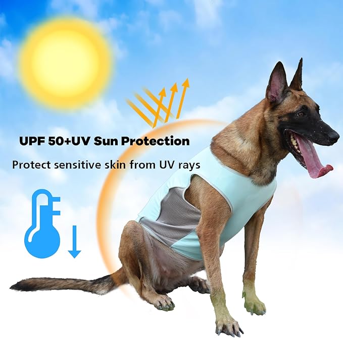 UPF 50+ Sun Protection Shirt, Quick-Dry Soft Clothes for Small Medium Dogs, Breathable Lightweight T-Shirts with Reflective Strips, Sleeveless Dog Vest, Cat Outfit P23ST00501XL