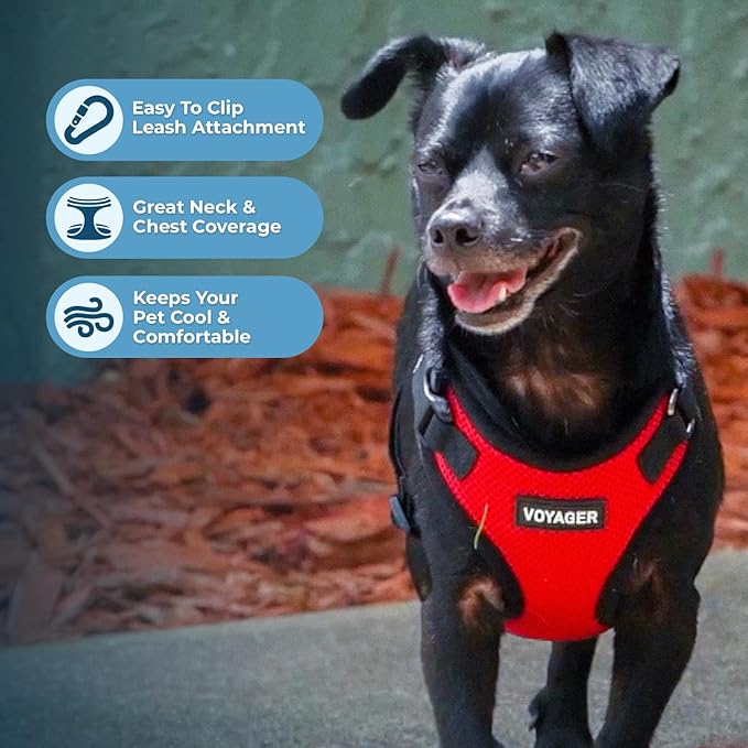 Best Pet Supplies Voyager Step-in Lock Pet Harness w Reflective Pet Leash Combo Set with Neoprene Handle 5ft - Supports Small, Medium and Large Breed Puppies/Cats - Red/Black Trim, XL