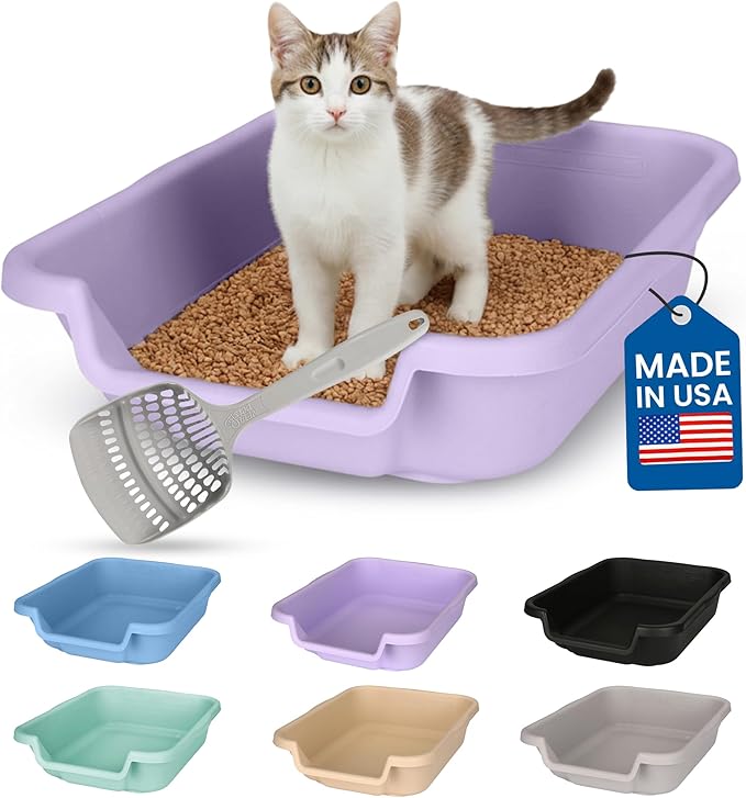 KittyGoHere Senior Cat Litter Box, Small Litter pan with Long-Handle Jumbo Scoop, Open Top Low Entrance Kitty Litters Box, Lightweight Low Entry Litter Box, Durable, Made in USA (Storybook Lavender)