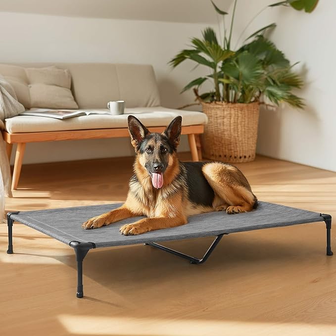 Veehoo Outdoor Elevated Dog Bed Large Sized Dogs, XL Cooling Raised Dog Cots Beds Training Platform Off Ground Hammock with Breathable Mesh, No-Slip Feet, 49"x33", Black Silver