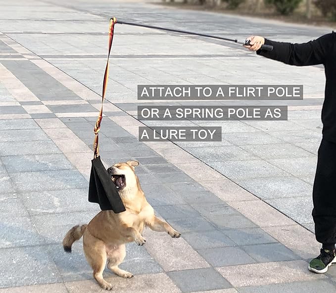 Dewonch Leather Bite Rag for Dog Training, K9 Puppy Toy to Build Prey Drive,Train Bite Grip,Play Tug of War Game with Handle