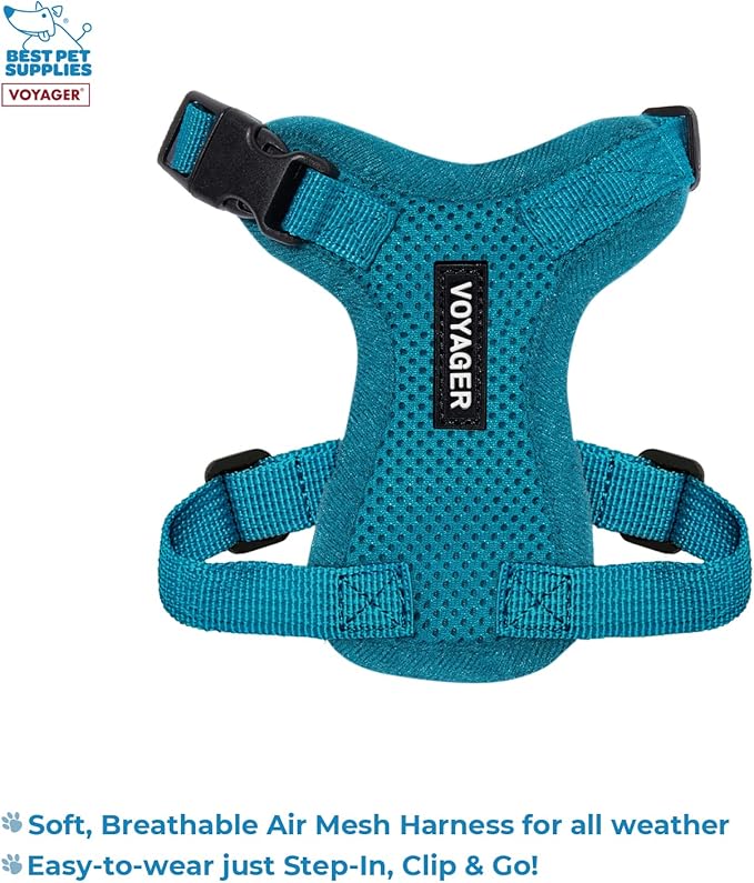 Best Pet Supplies Voyager Step-in Lock Pet Harness w Reflective Pet Leash Combo Set with Neoprene Handle 5ft - Supports Small, Medium and Large Breed Puppies/Cats - Turquoise Set, XXS