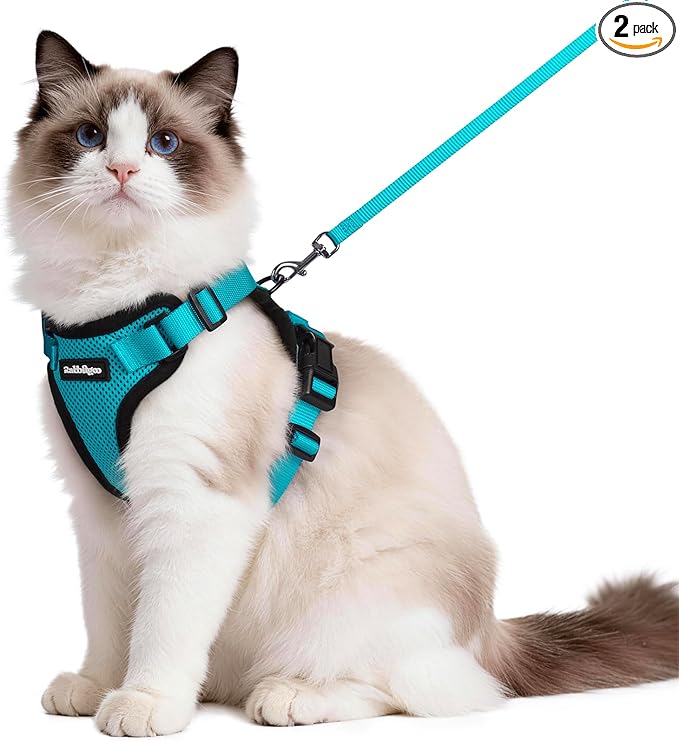 rabbitgoo Cat Harness and Leash Set, Escape Proof Vest Harness for Safe Outdoor Walks, Soft Breathable Adjustable Vest with Reflective Strips for Average to Large Cats, Teal, M