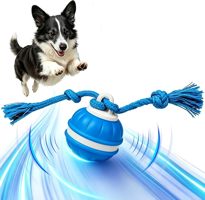 Interactive Dog Ball, 360° Self-Moving Dog Toy with LED Lights & Squeaker, Automatic Fetch Toy for Boredom & Training, USB-C Rechargeable Smart Pet Toy for Small Medium Dogs & Cats