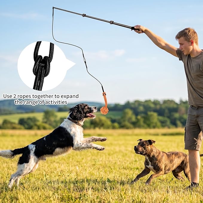 Flirt Pole for Dogs Heavy Duty – 40" Extendable Aluminum Alloy Dog Teaser Pole for Large, Medium & Small Dogs, Dog Training Stick Toy for Exercise & Training, Includes 4 Replaceable Lures