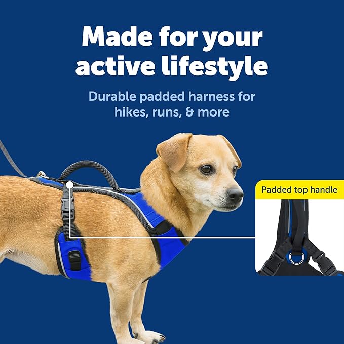 PetSafe EasySport Dog Harness Adjustable, Padded Dog Harness with Control Handle and Reflective Piping Extra Small, Blue
