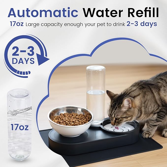 Raised Dog Cat Food Bowl, Cat Food and Water Bowl Set with Water Dispenser, Stainless Steel Bowls and Feeding Mat, Food Feeding Dishes for Indoor Cats and Small Dogs, Black